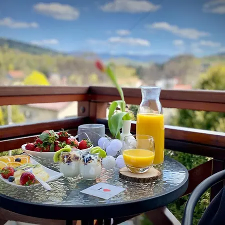 Pod Ochorowiczowka B&B