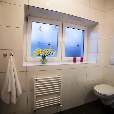 Pod Ochorowiczówką