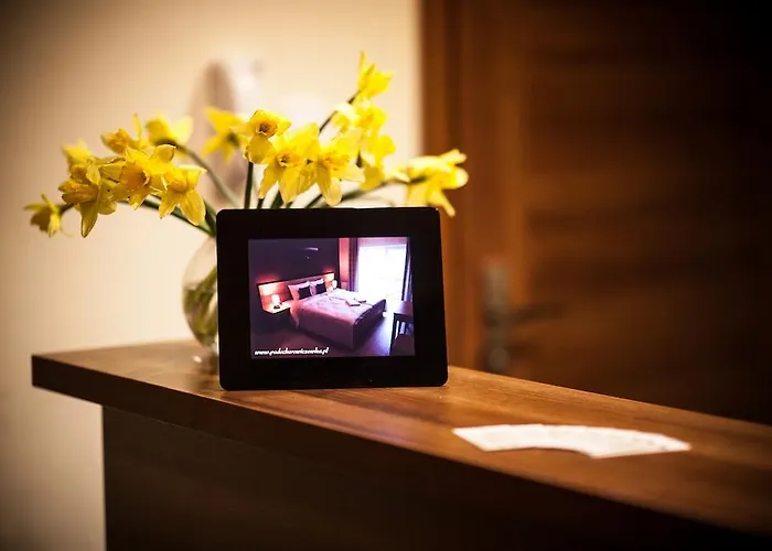 Bed & Breakfast Rezydencja Pod Ochorowiczowka Wisla