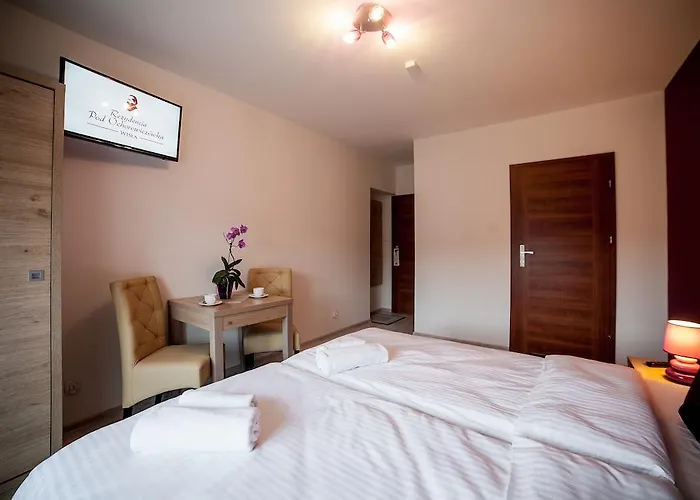 Bed & Breakfast Rezydencja Pod Ochorowiczowka